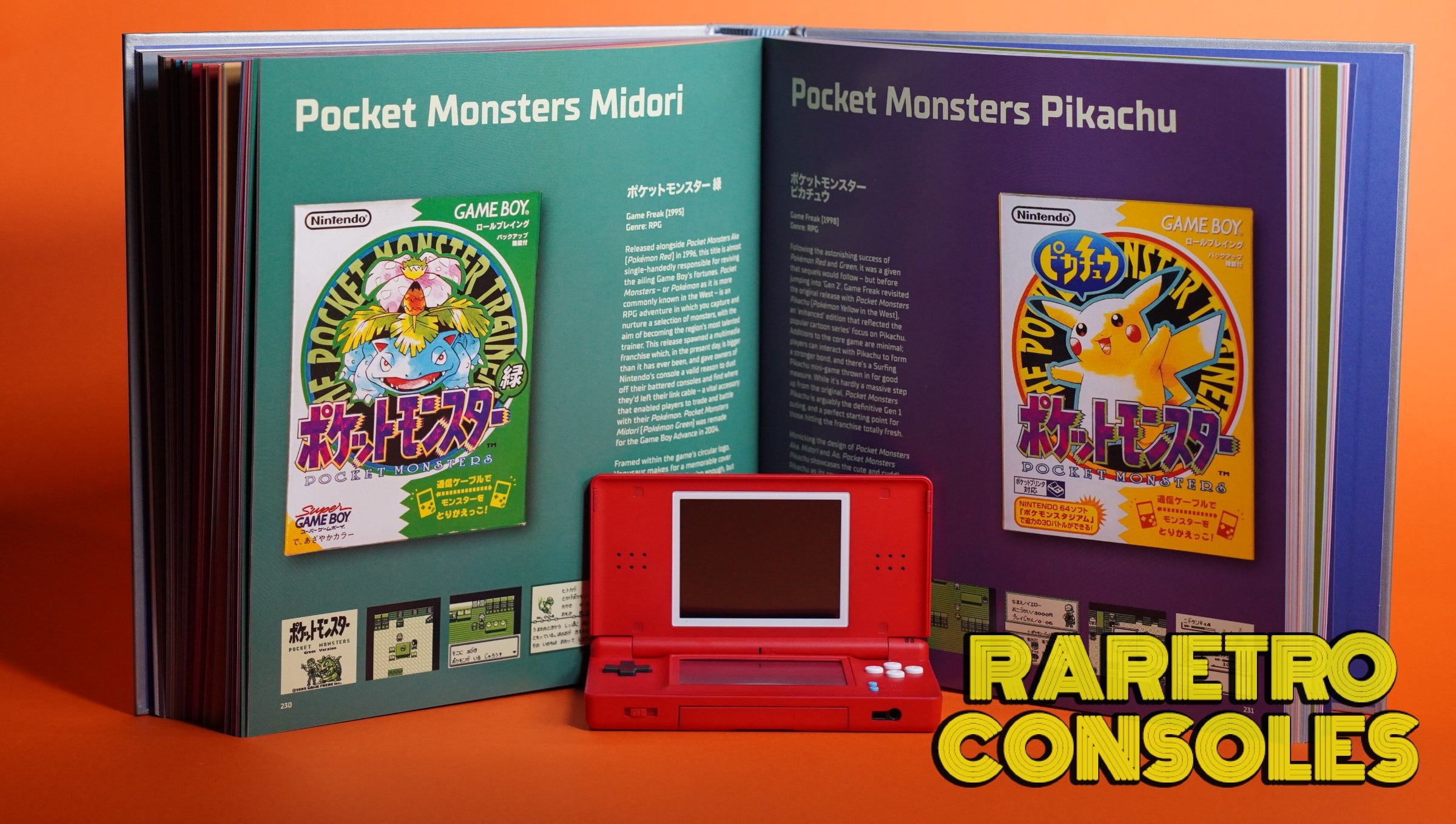 Custom Nintendo DS Lite Pokédex Edition | Raretro Consoles